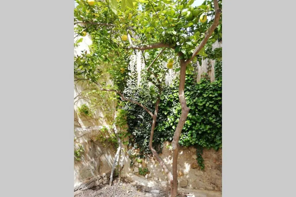 Holiday home Cas Potecari Villa Porreres